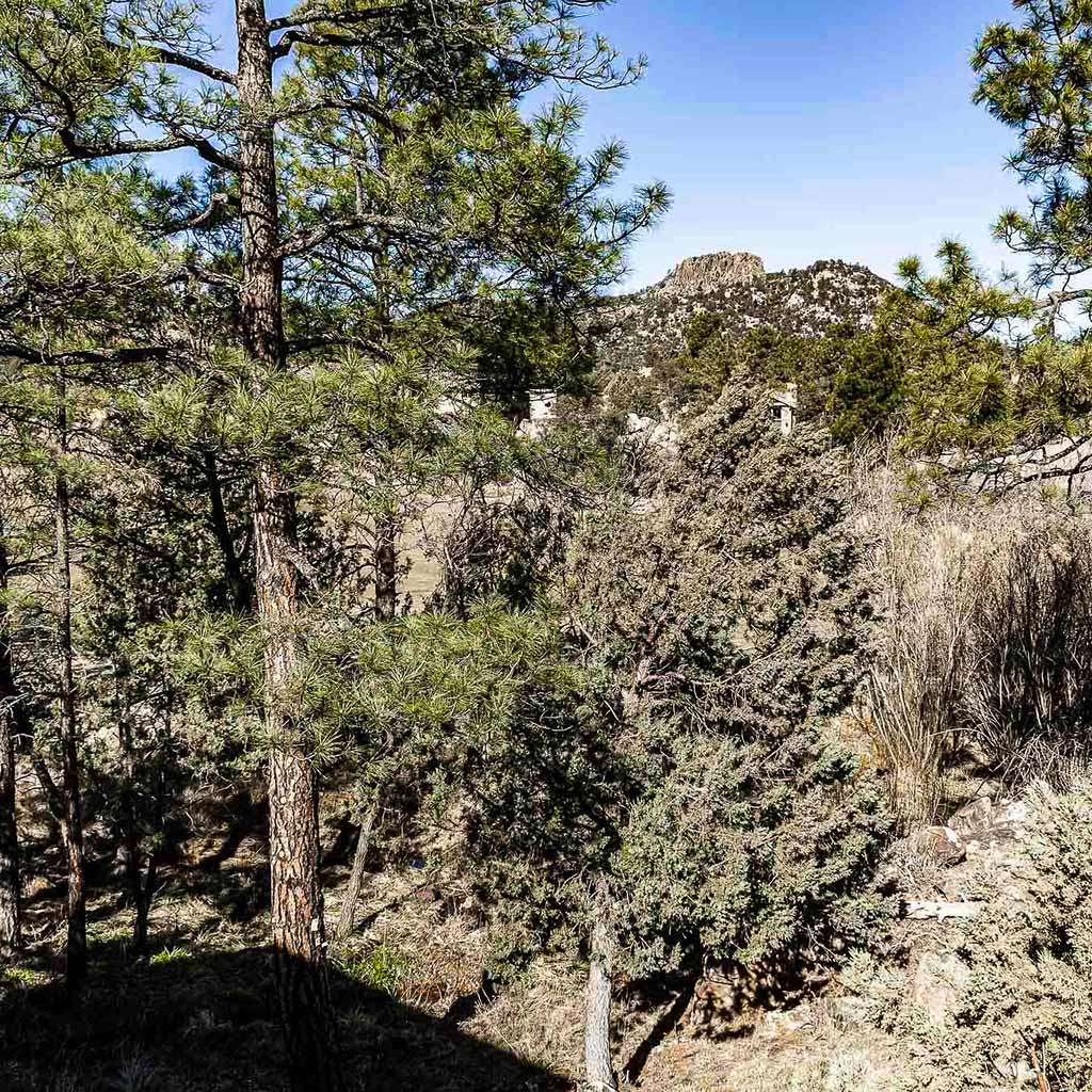 View of Thumb Butte and pine forest from the back of a Hassayampa Prescott custom home