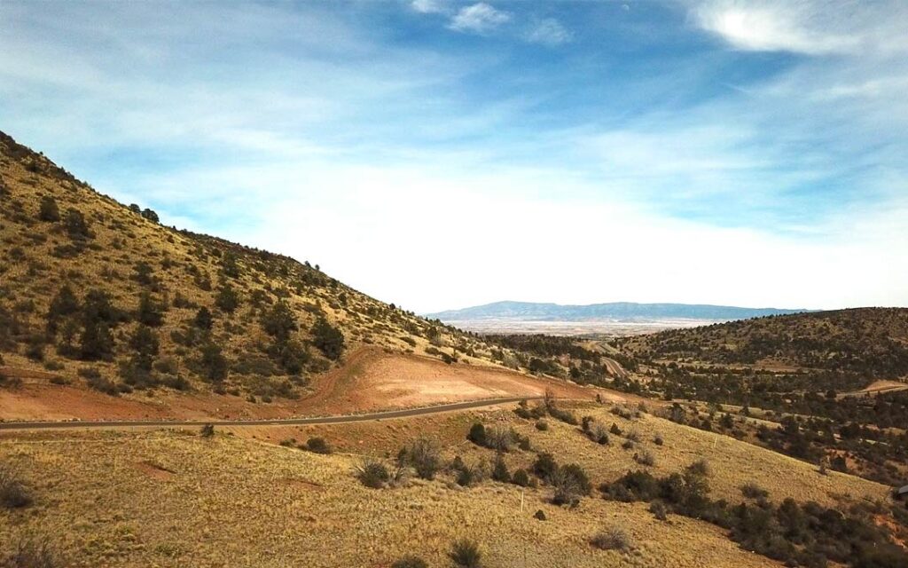 Desert hillside with scattered shrubs and a winding road through golden hills under a blue sky and distant mountains on the horizon.